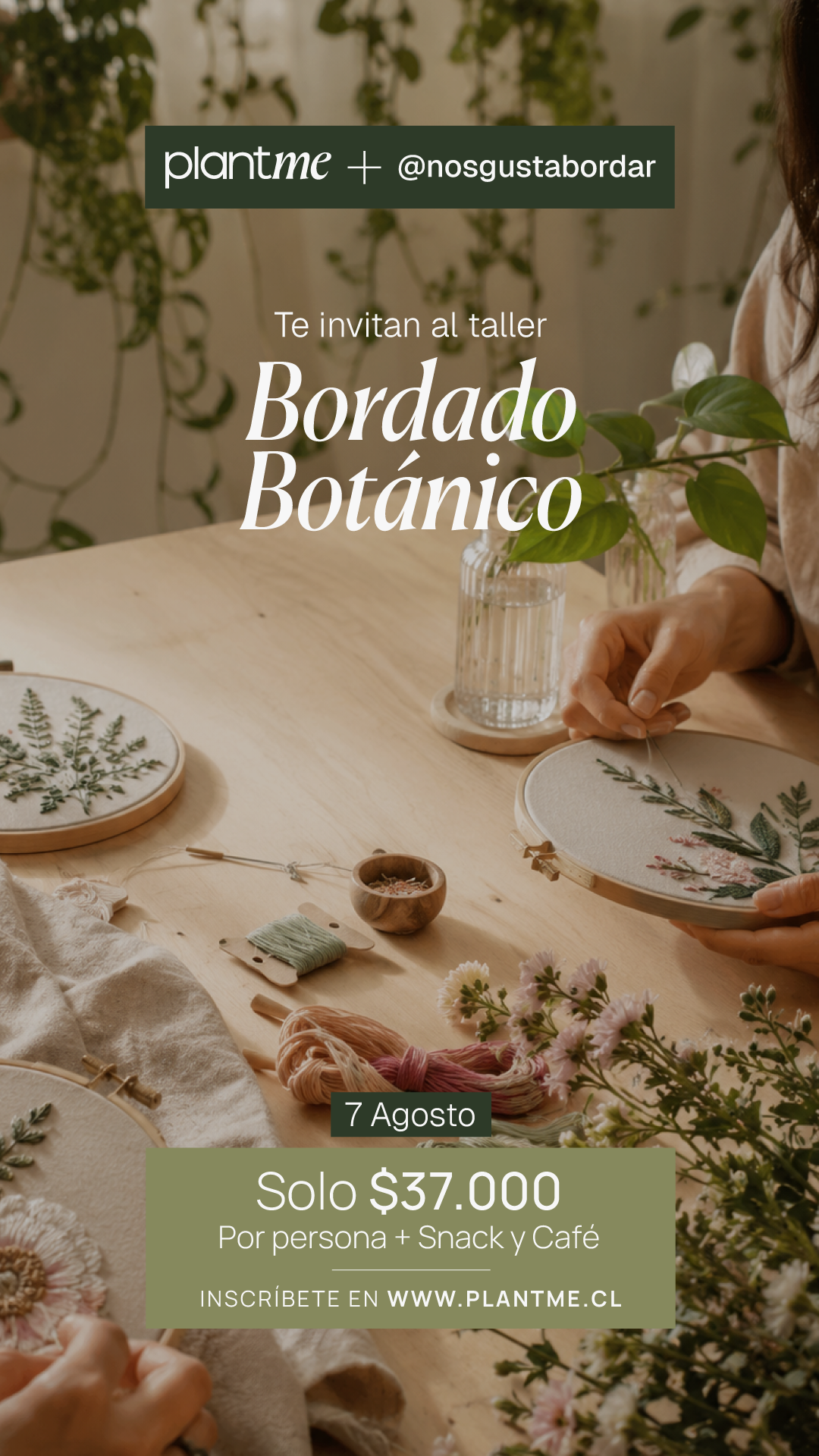 Taller Bordado Botánico