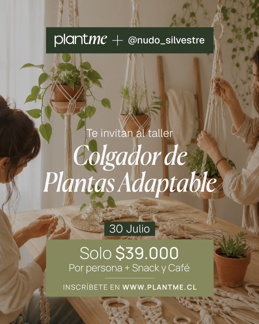 Taller Colgador de planta adaptable