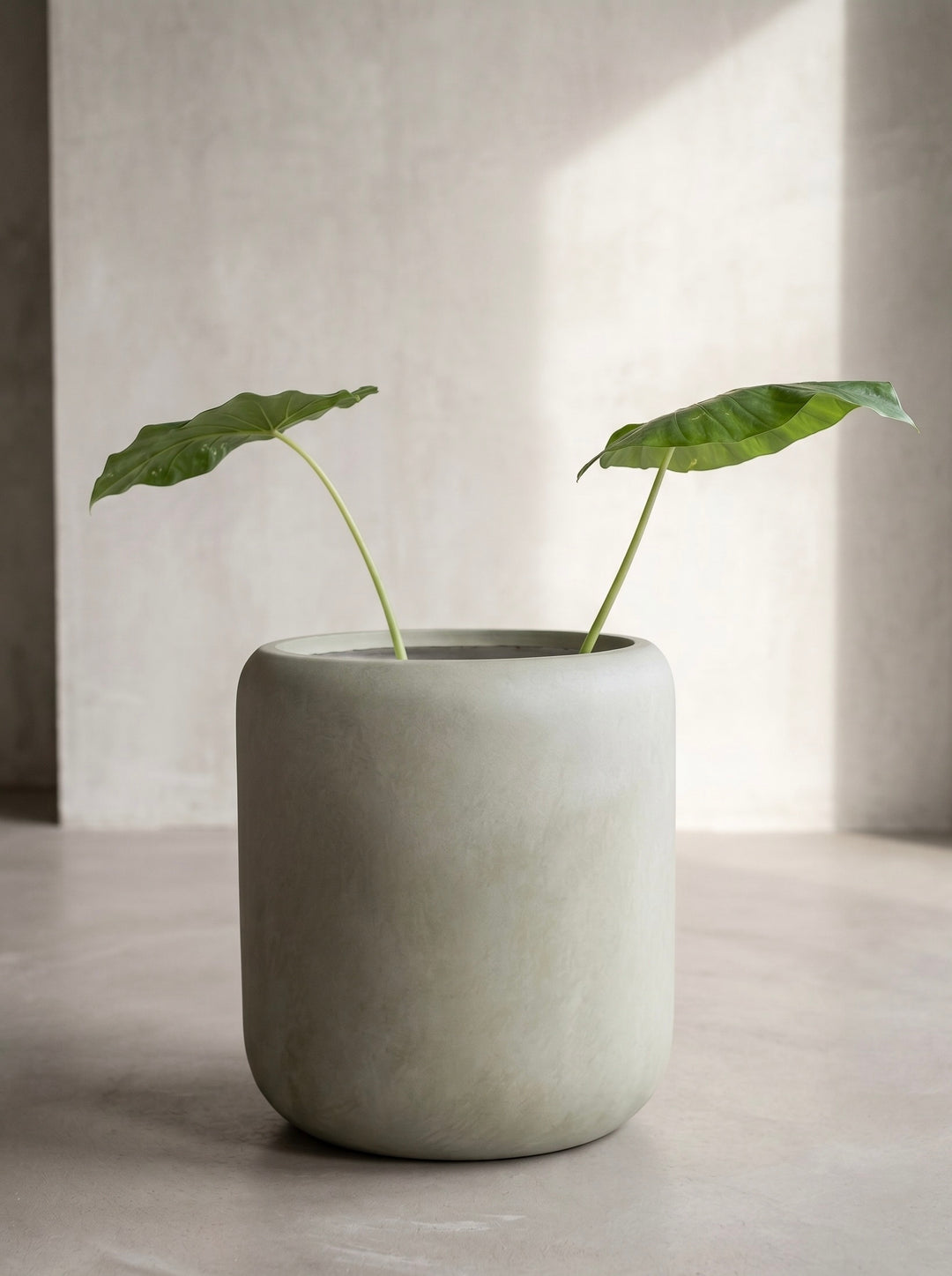 Hong Kong Verde 42 (Macetero Fiberclay)