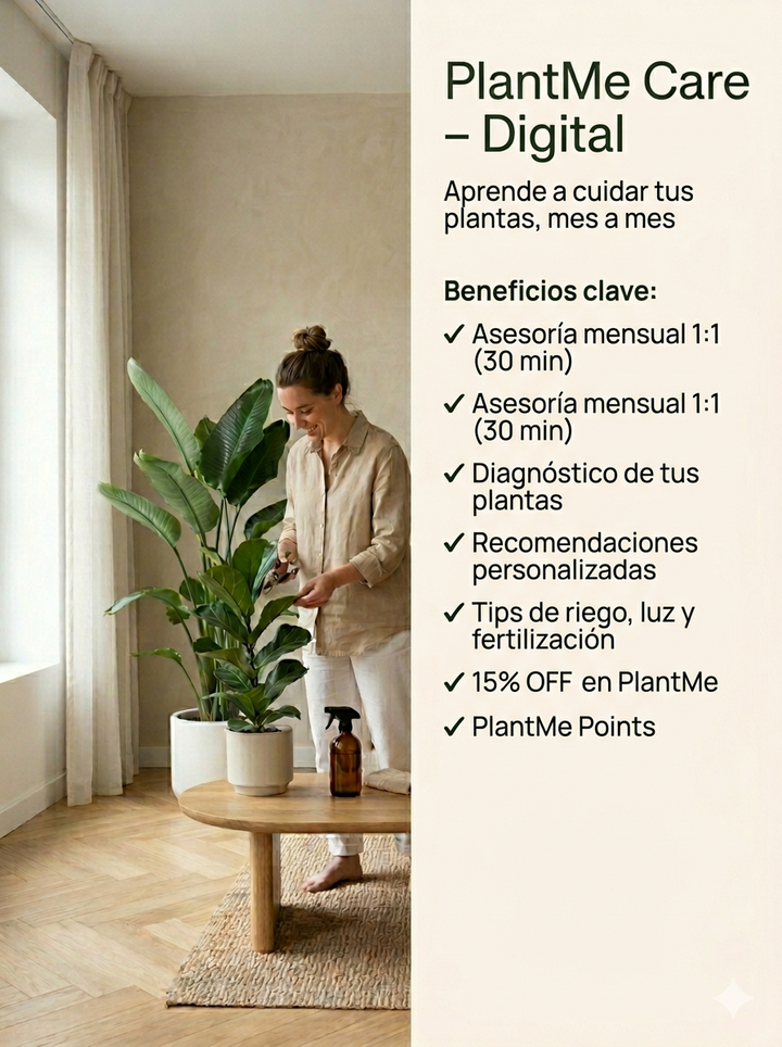 Plan Digital - PlantMe Care Club