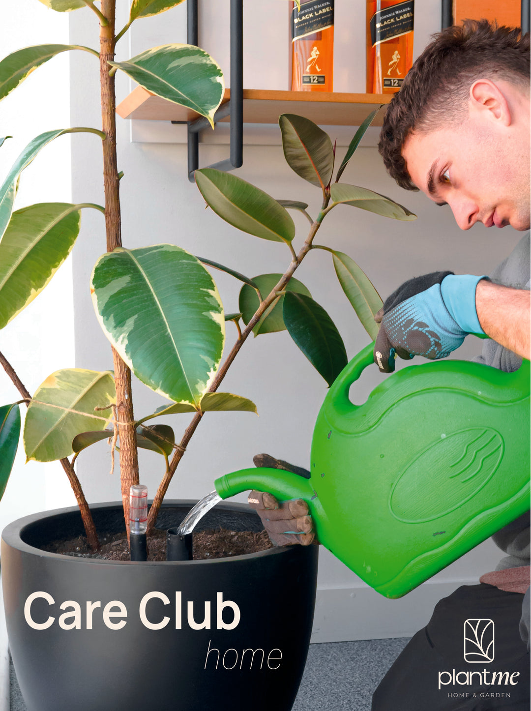 Plan Home- PlantMe Care Club