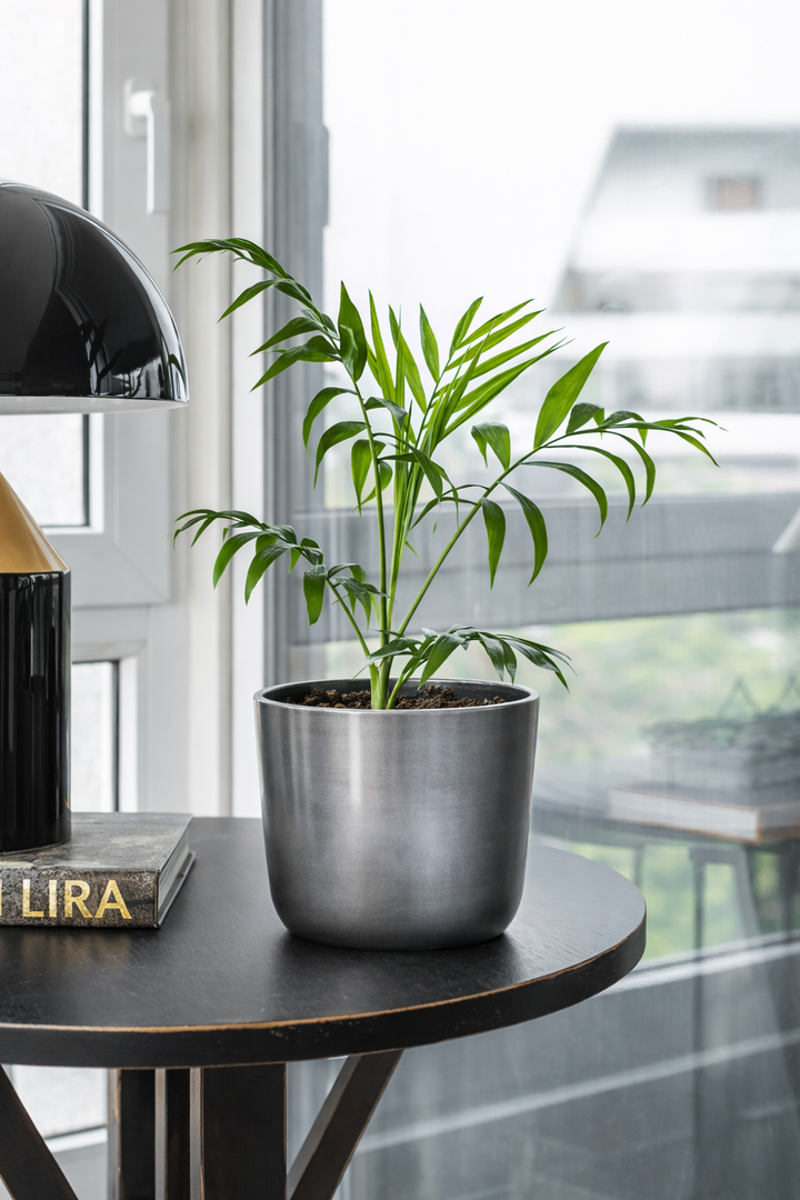 Madrid 13 Grafito (Macetero Plástico Reciclado S)