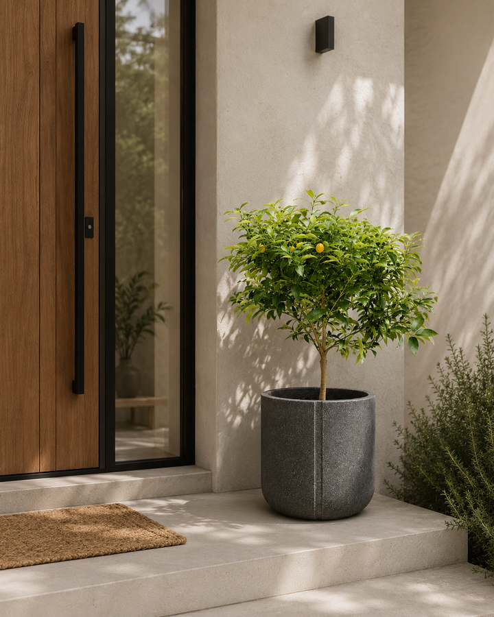 Ko Samui XXL 43x43 (Macetero Fibra de Arcilla)