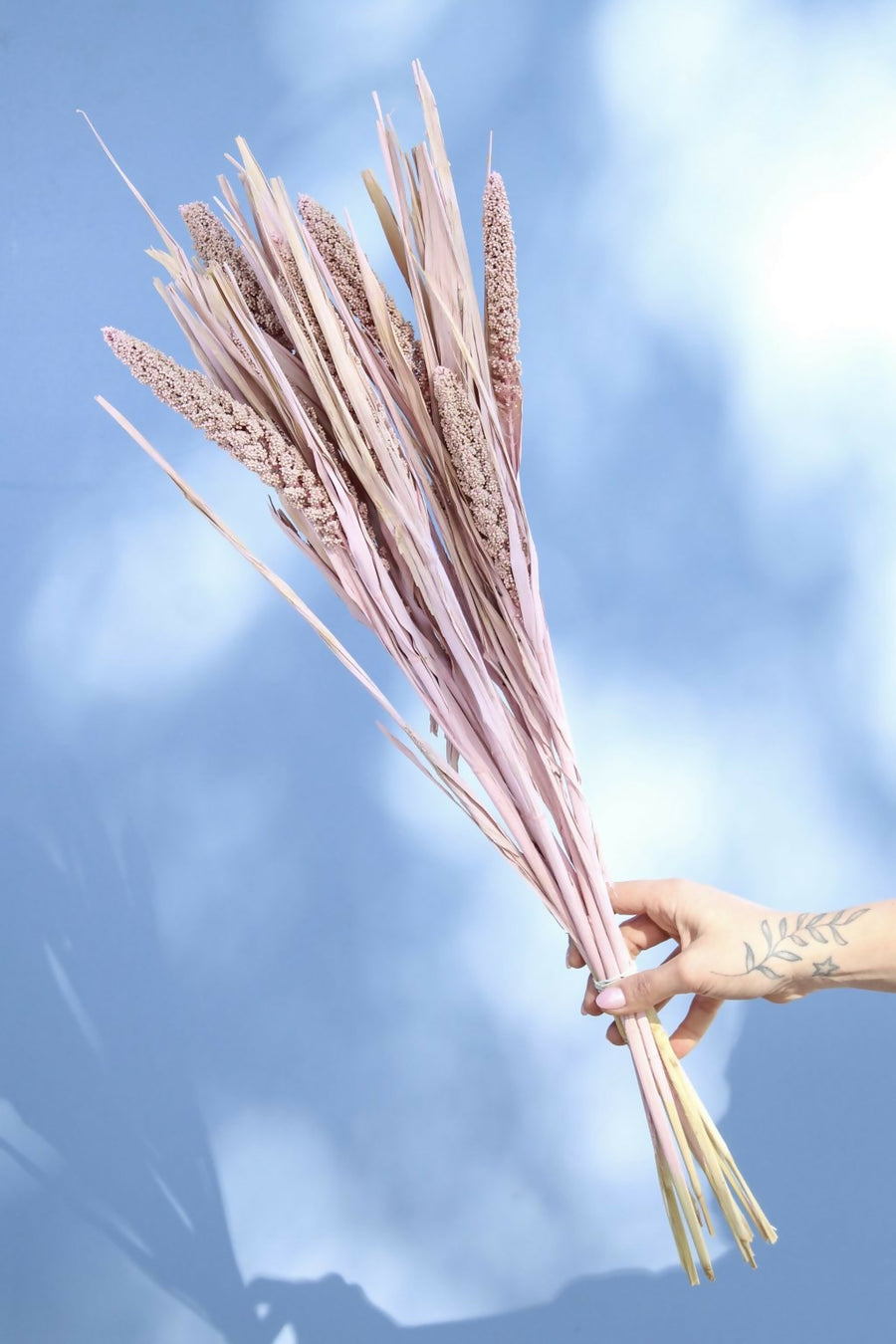 setarea italica rosado pastel