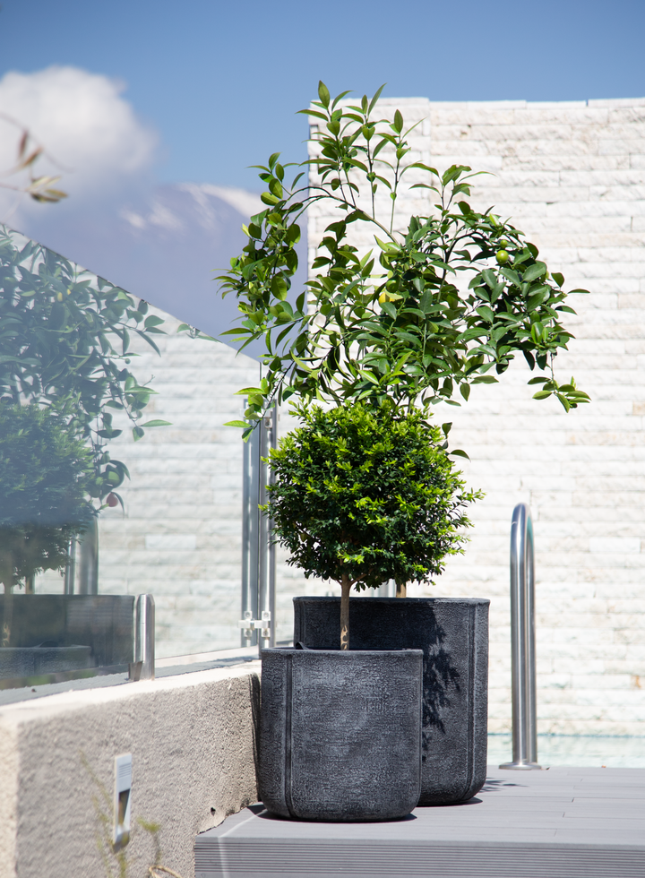 Ko Samui XL 33x33 (Macetero Fibra de Arcilla)