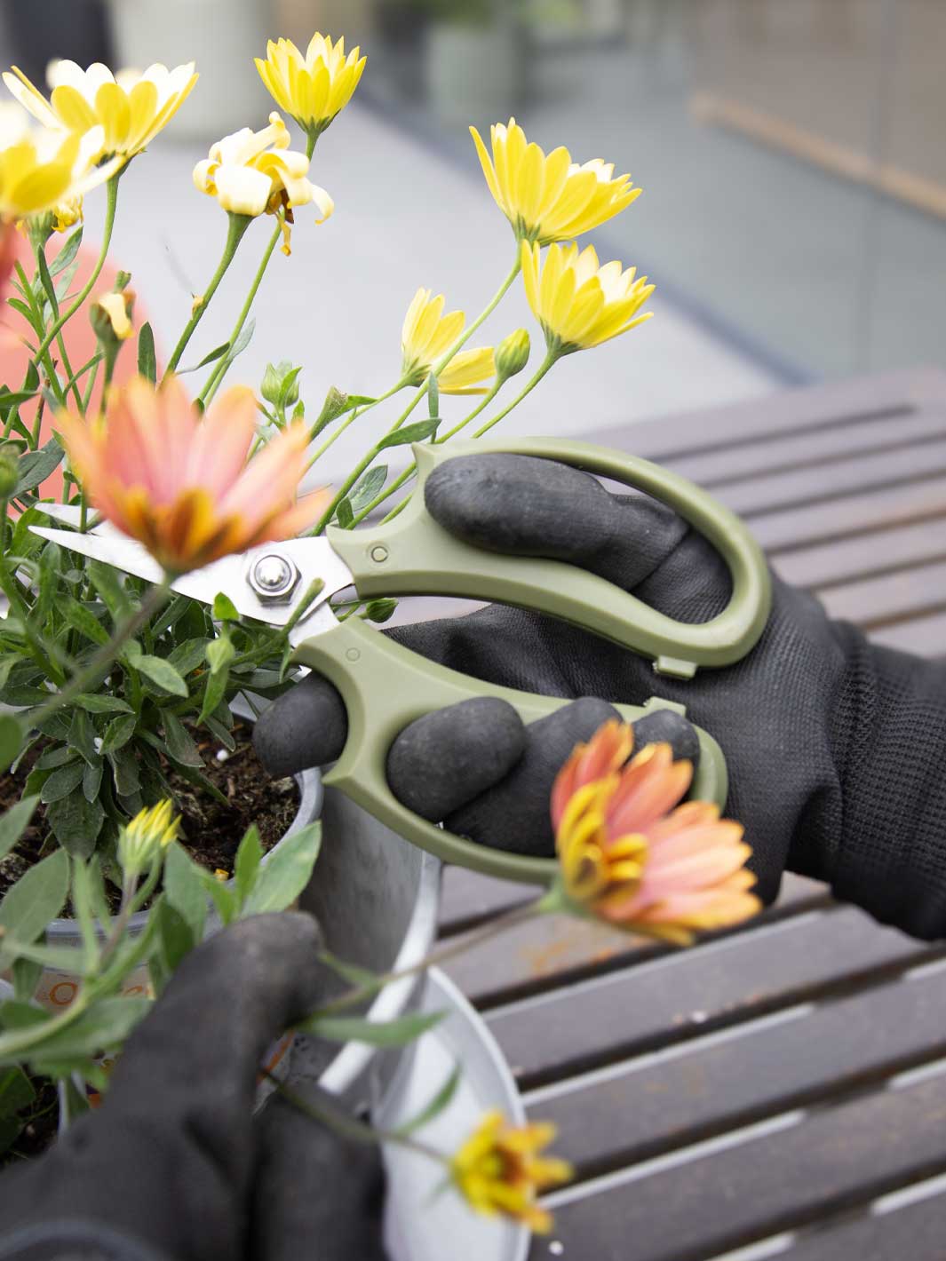 Tijera de Poda Exterior PlantMe