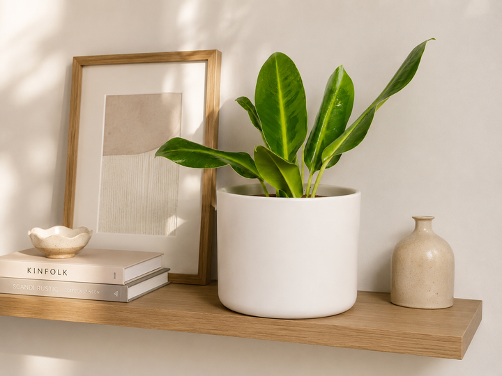 Danés M Blanco (Porta Macetero de Ceramica)