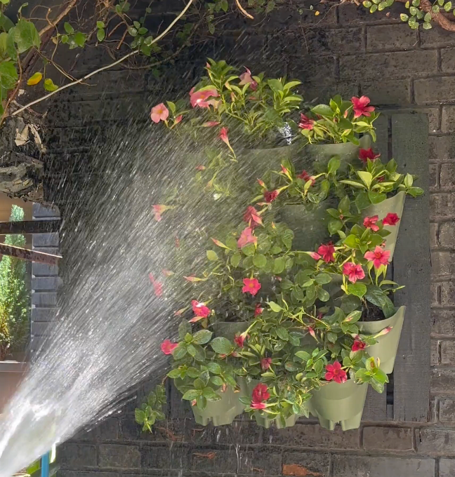 Video de Instalación