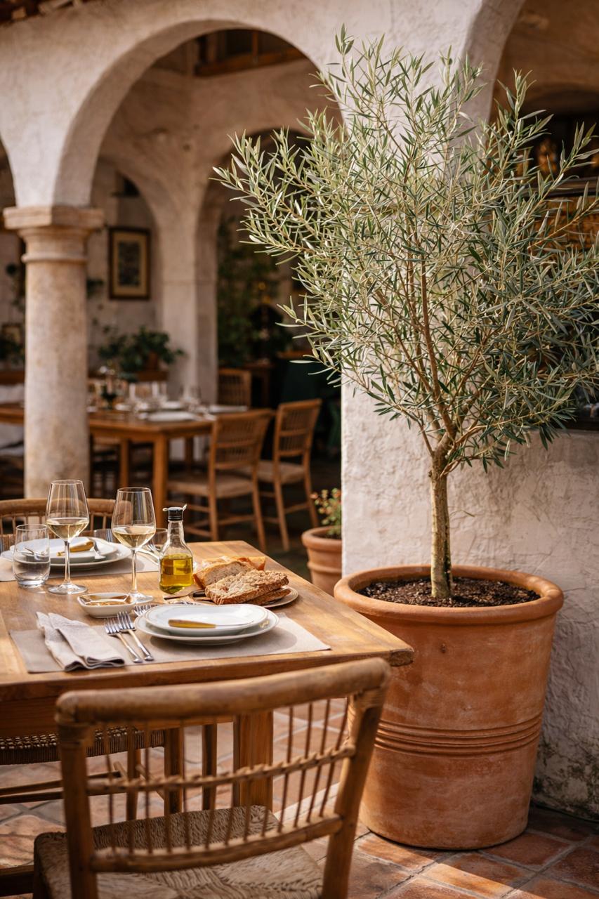 Oliver Pie Alto XL (Olivo)