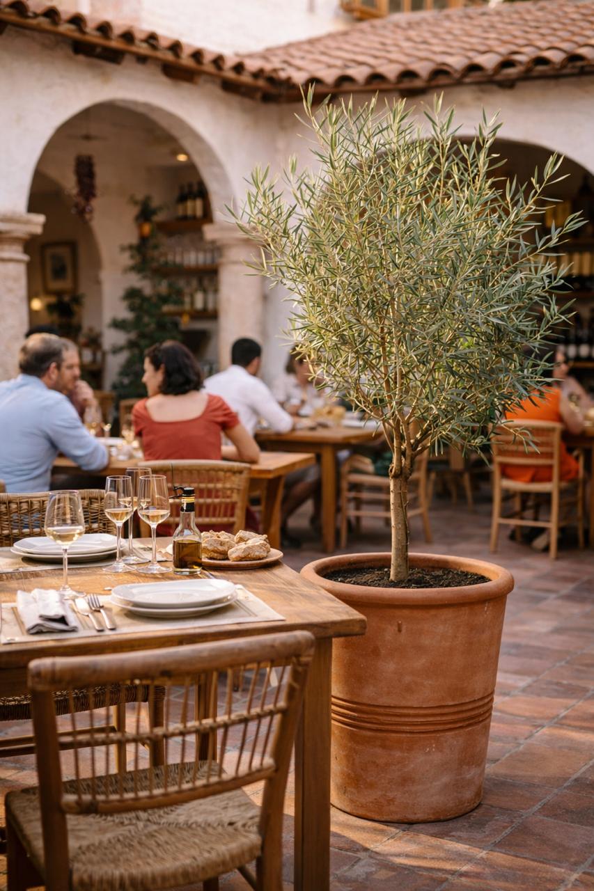 Oliver Pie Alto XL (Olivo)