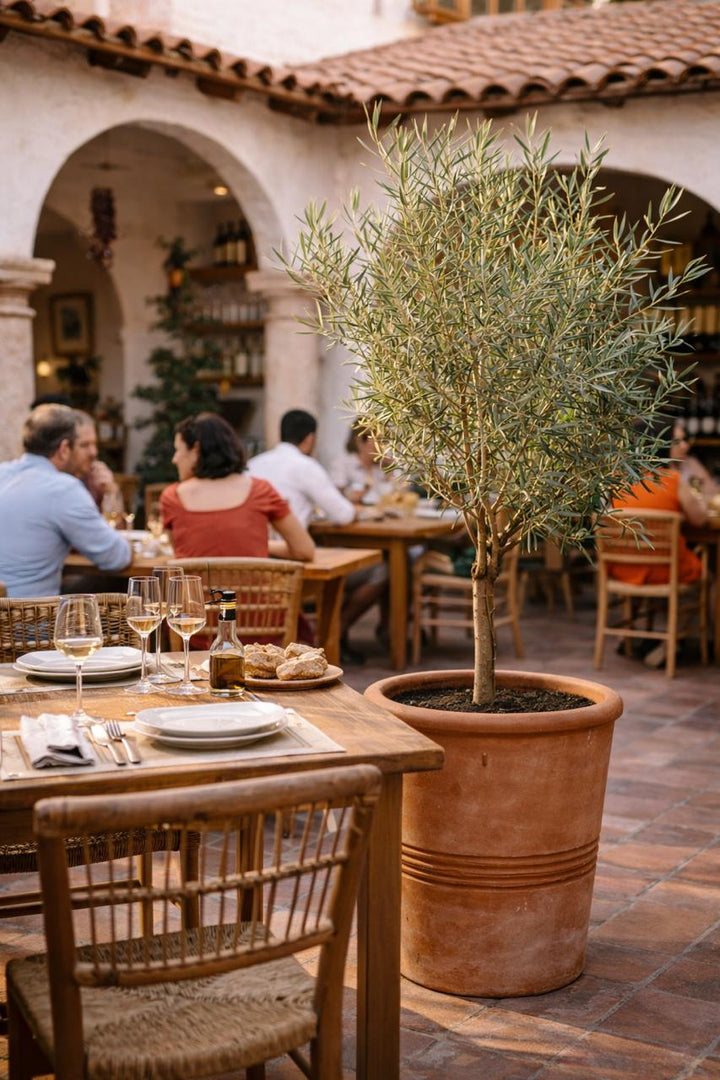 Oliver Pie Alto XL (Olivo)