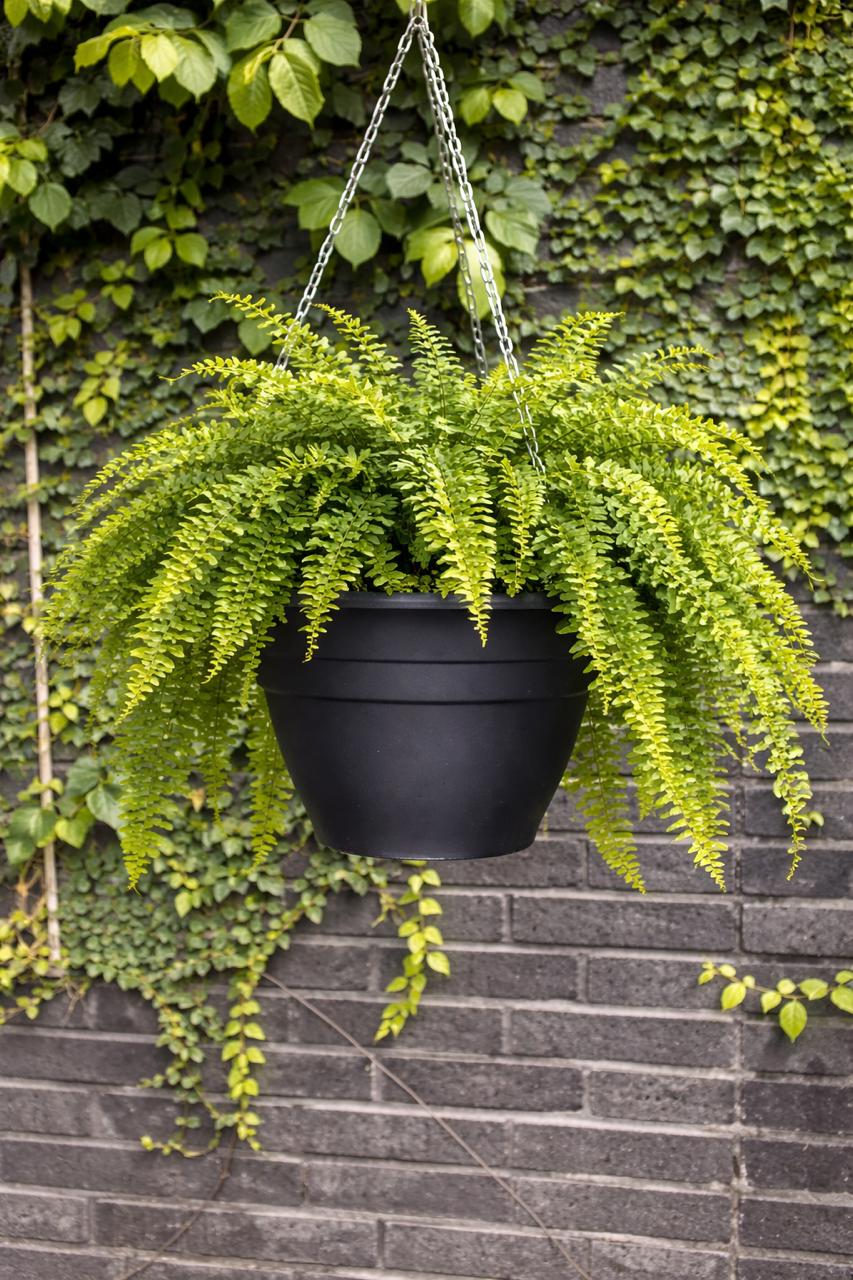 Milan Negro 16,2 (Colgante)