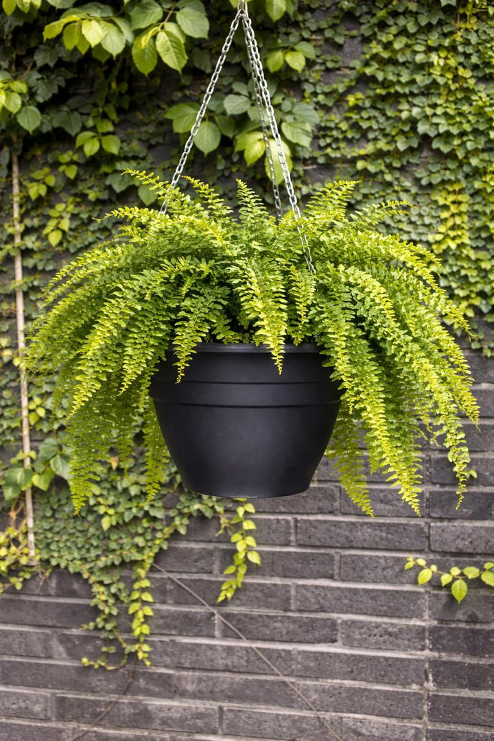 Milan Negro 16,2 (Colgante)