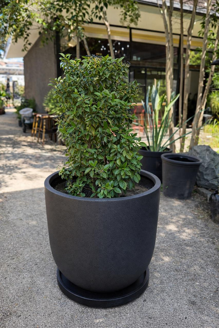 Plato Grafito Mate 40 cm