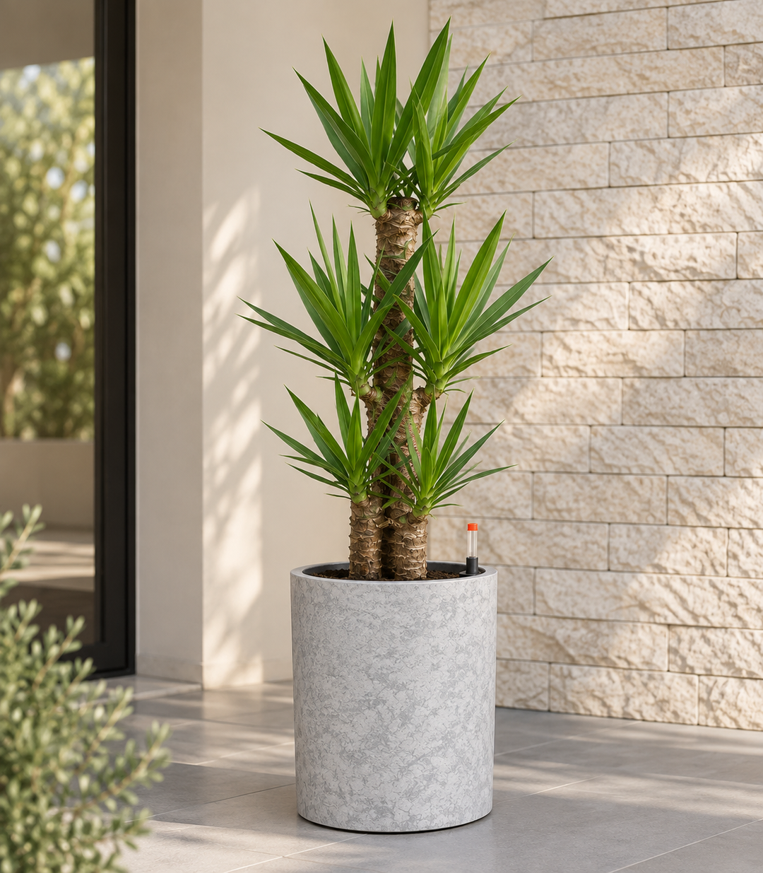 Sintra Blanco 32x36 (Autorregante XL)