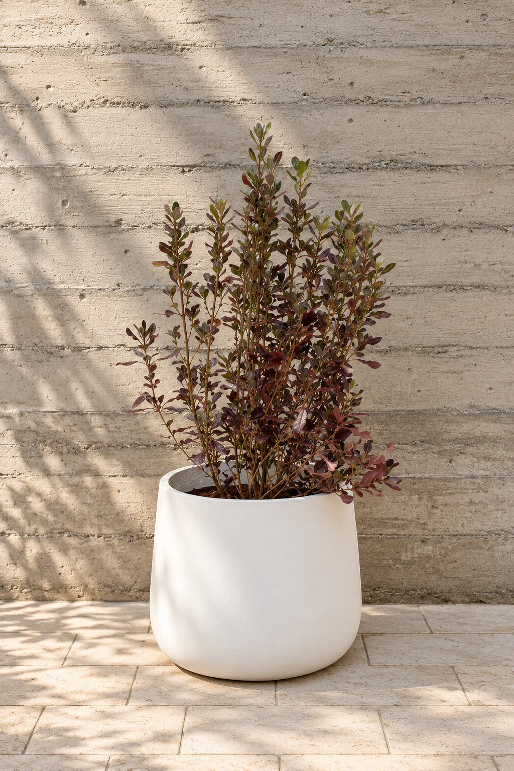 Osmar (Coprosma Chocolate)