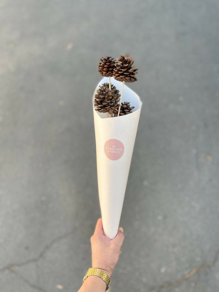 Piñas Natural (5 varas)