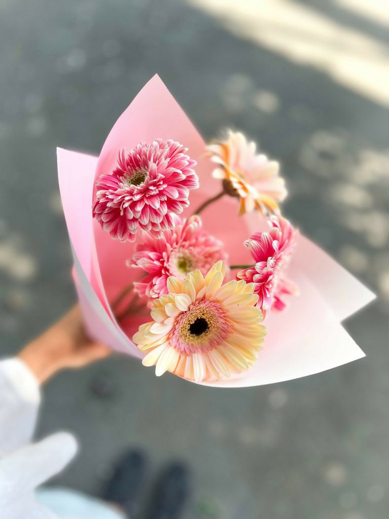 cucurucho de gervera