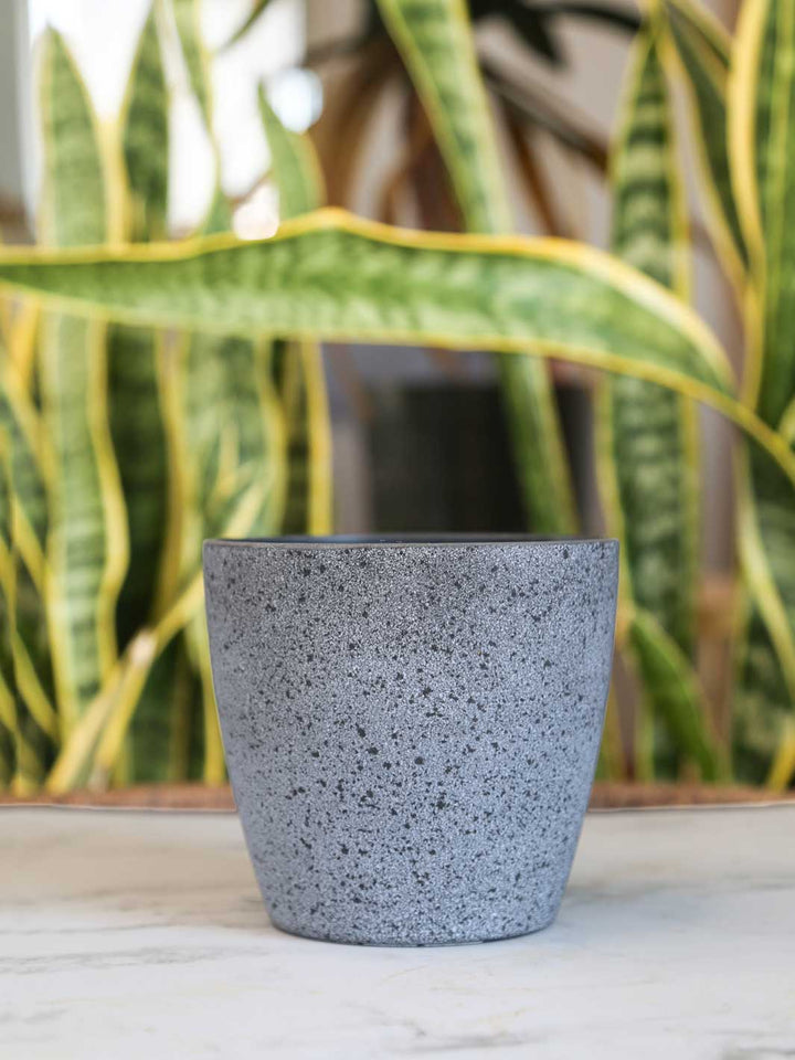 Cádiz 13 Gris (Macetero Plástico Reciclado Orquídea)