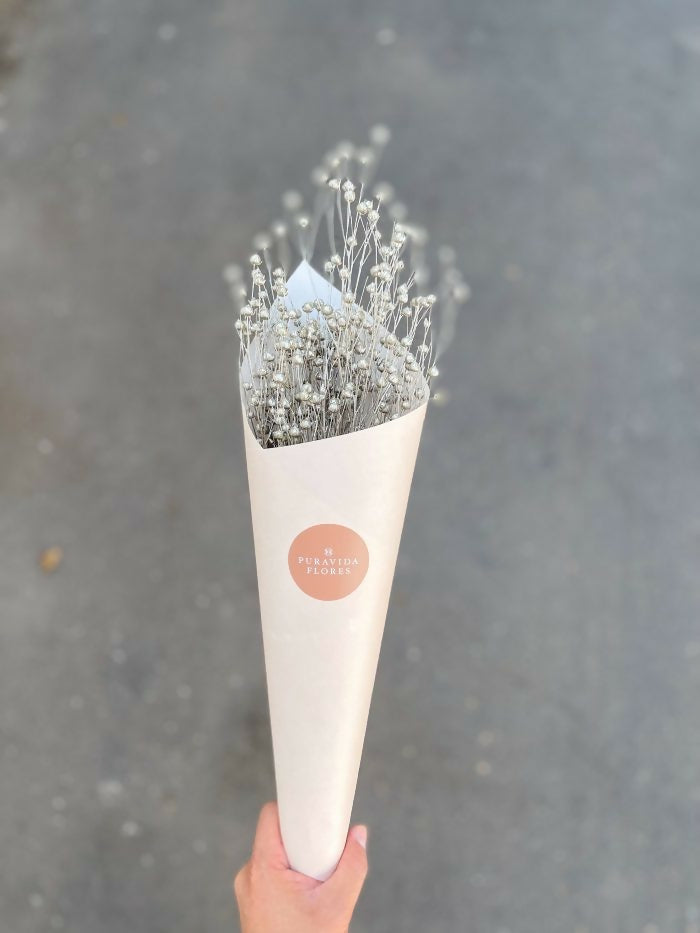 Linaza Champagne Seca