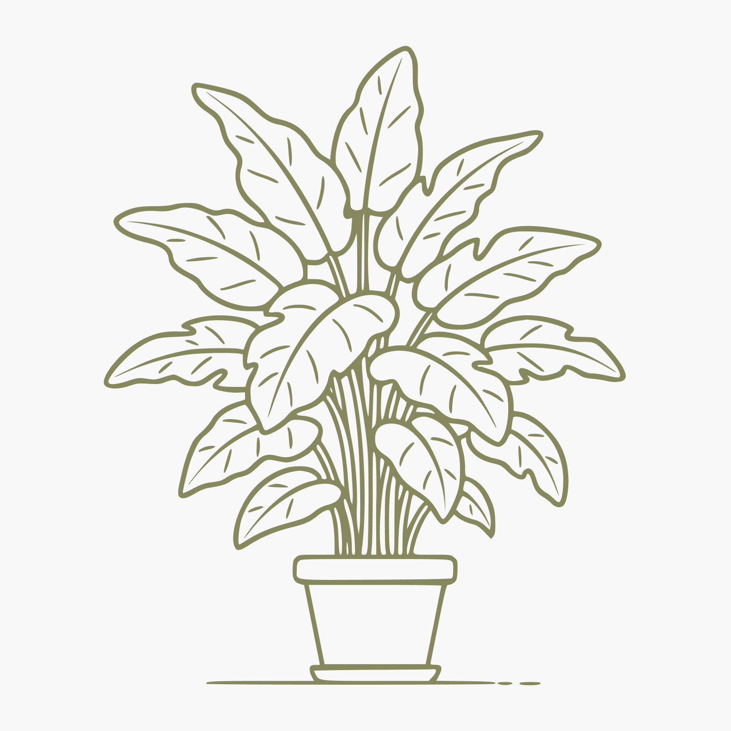 Plantas