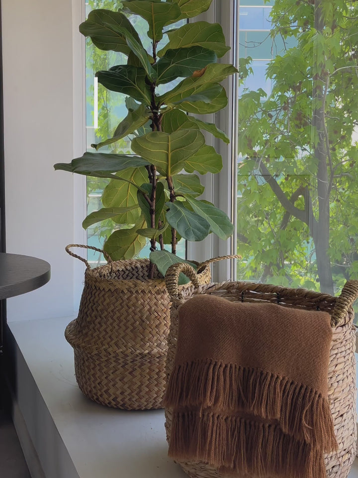 Hanoi 60 (Canasta Mimbre XXL)