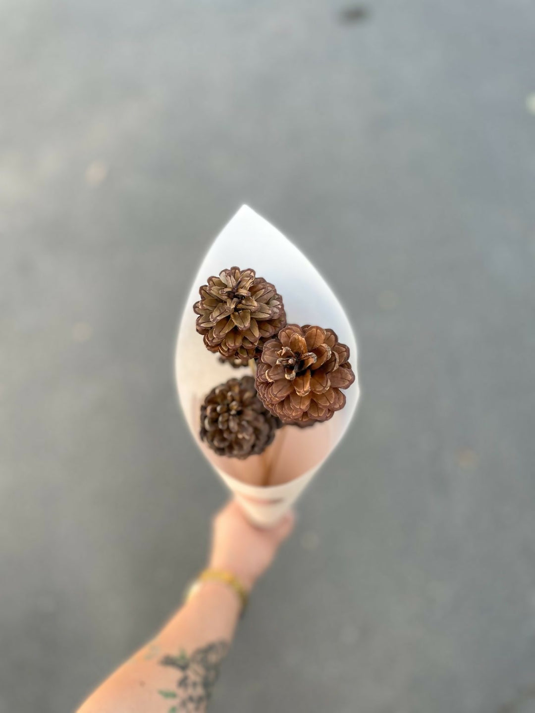 Piñas Natural (5 varas)