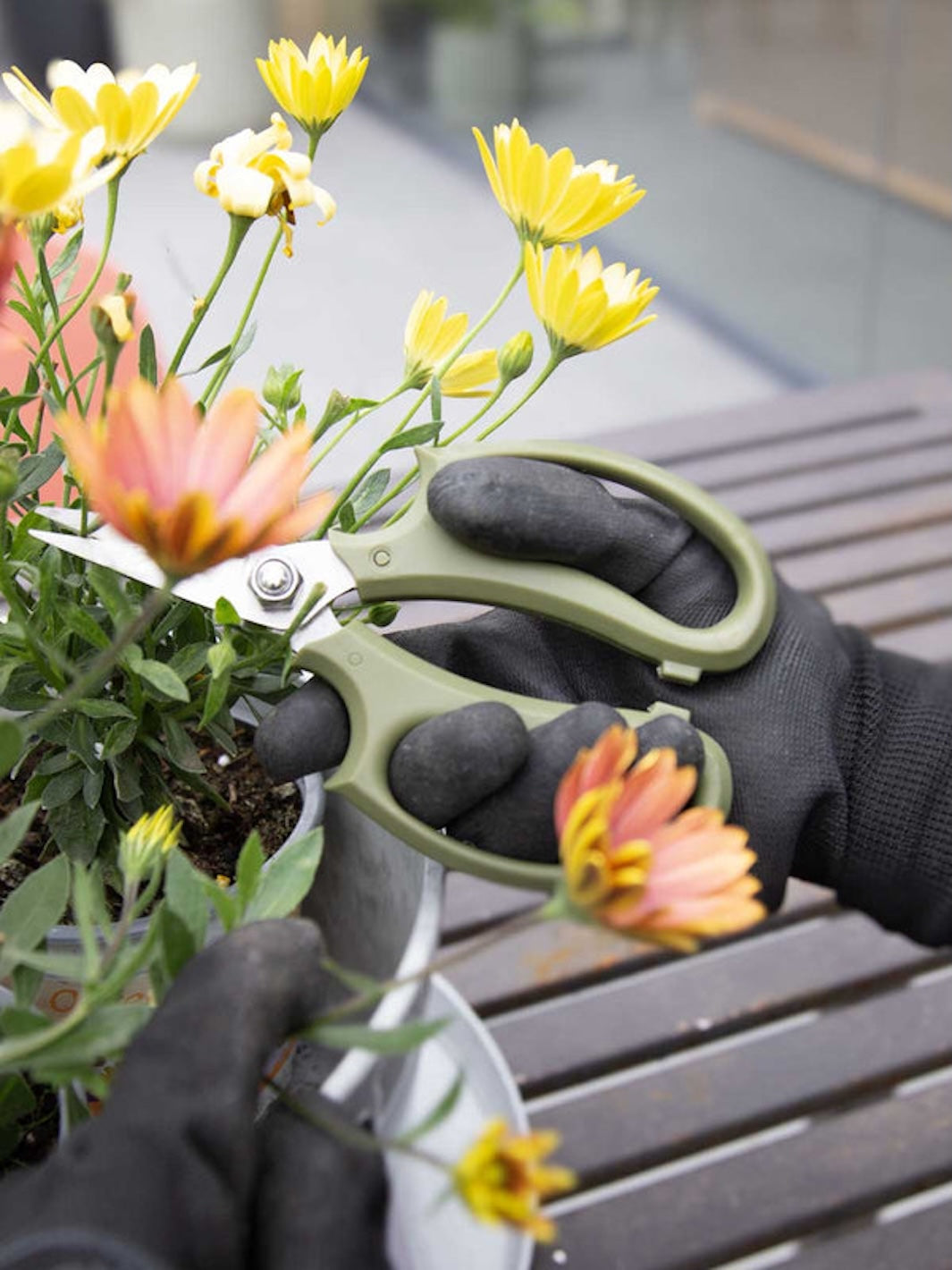 Tijera de Poda Interior PlantMe