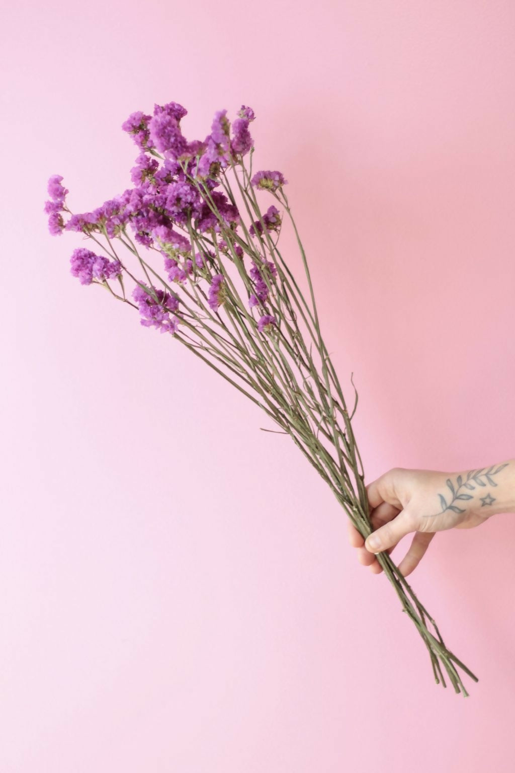 estatice rosado