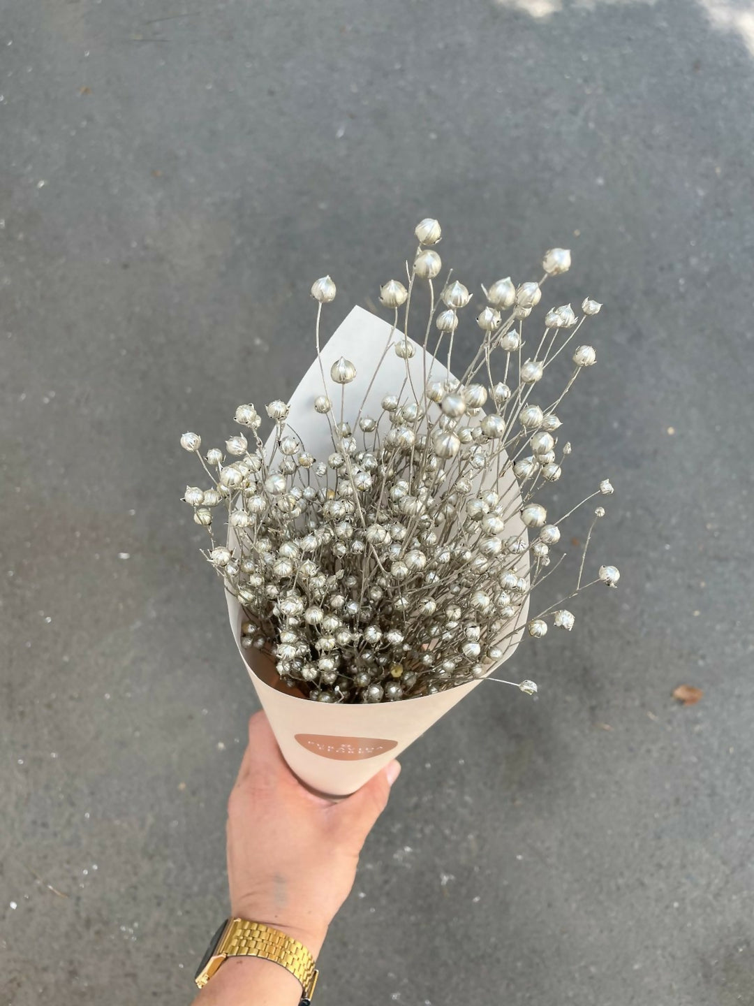 Linaza Champagne Seca