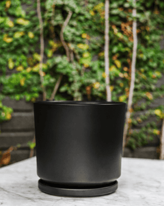 Dinamarca 24x23 Negro (Macetero Porcelana L)