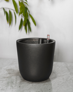 Chono Negro (Autorregante L)