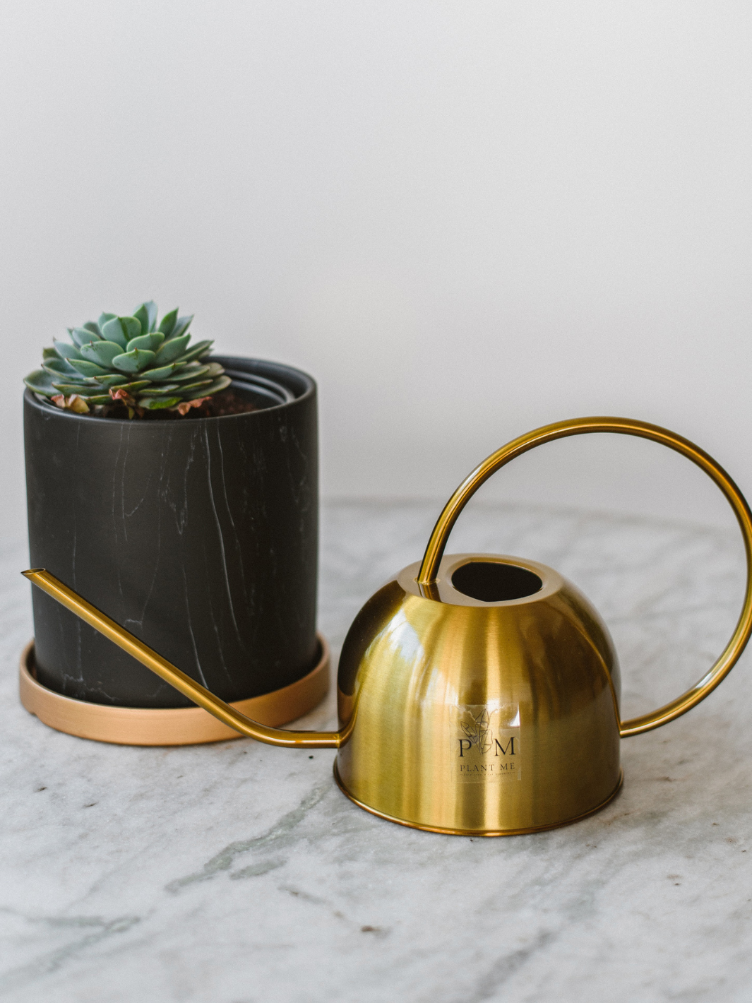 Regadera Berna Gold - Dorado