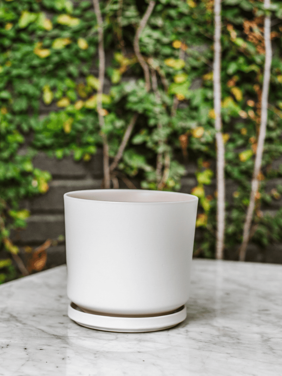 Dinamarca Blanco 16" (Macetero cerámica) Plant Me