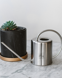 Regadera Congo Silver