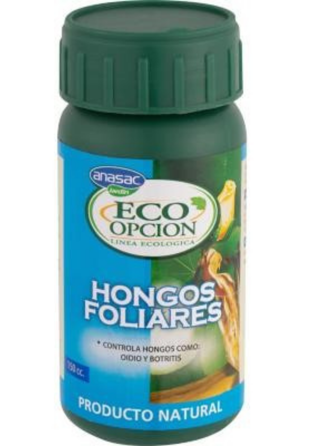Hongos Foliares