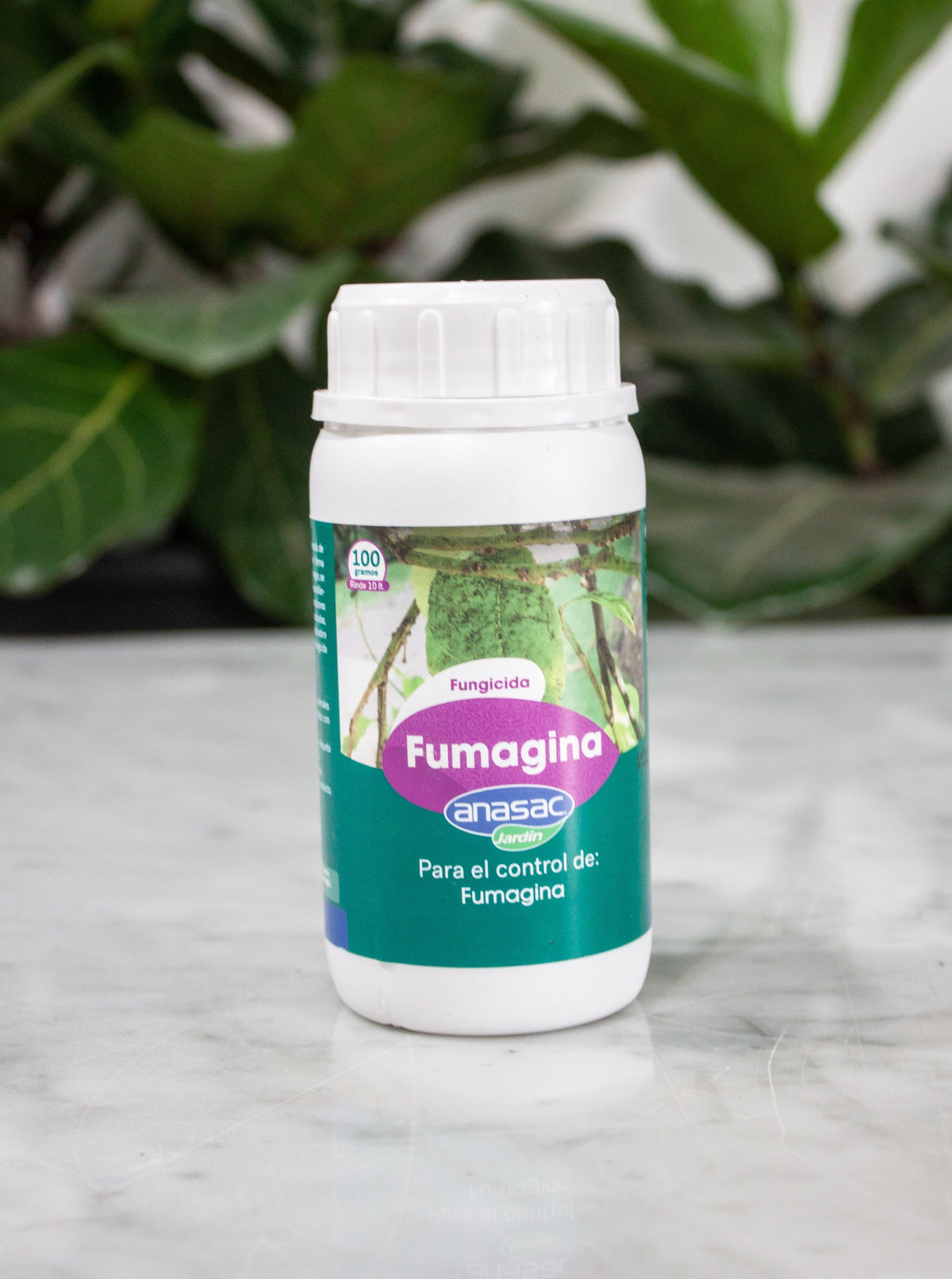 Fumagina