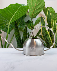 Regadera Berna Silver