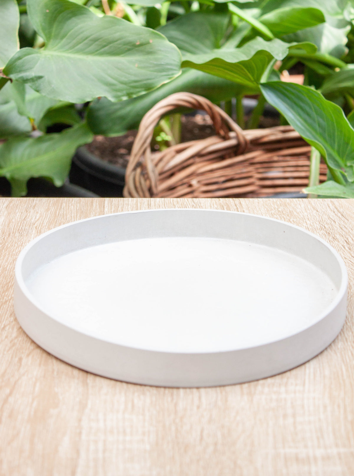 Plato Beige 21 cms - Beige