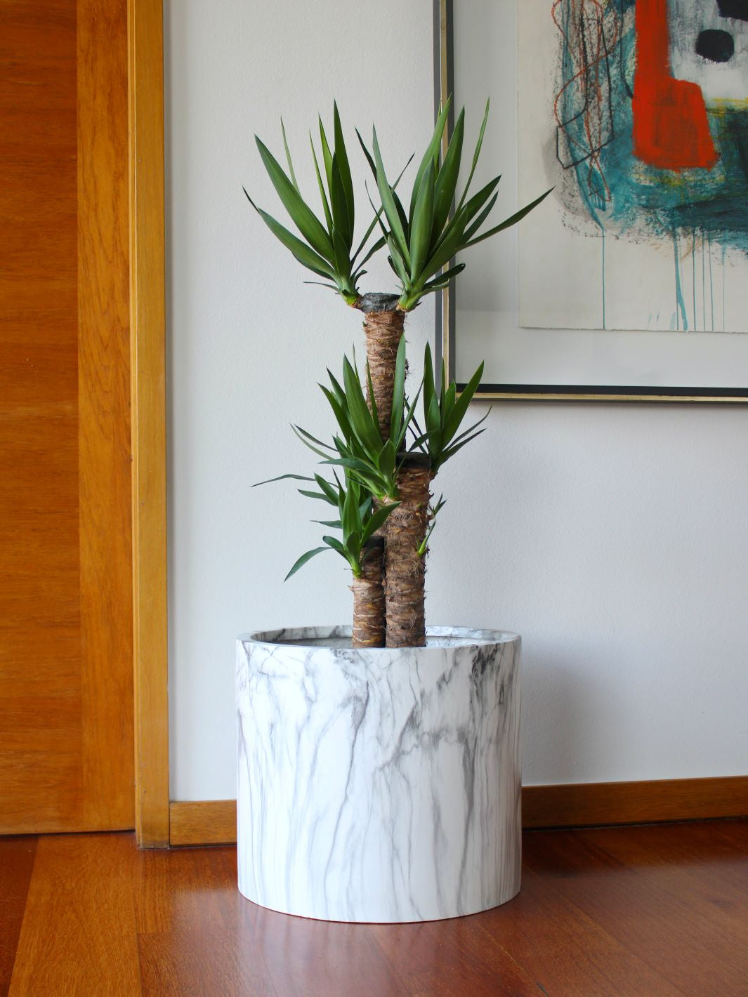 Yolanda XL (Yucca)