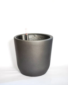 Chono Grafito (Autorregante L)